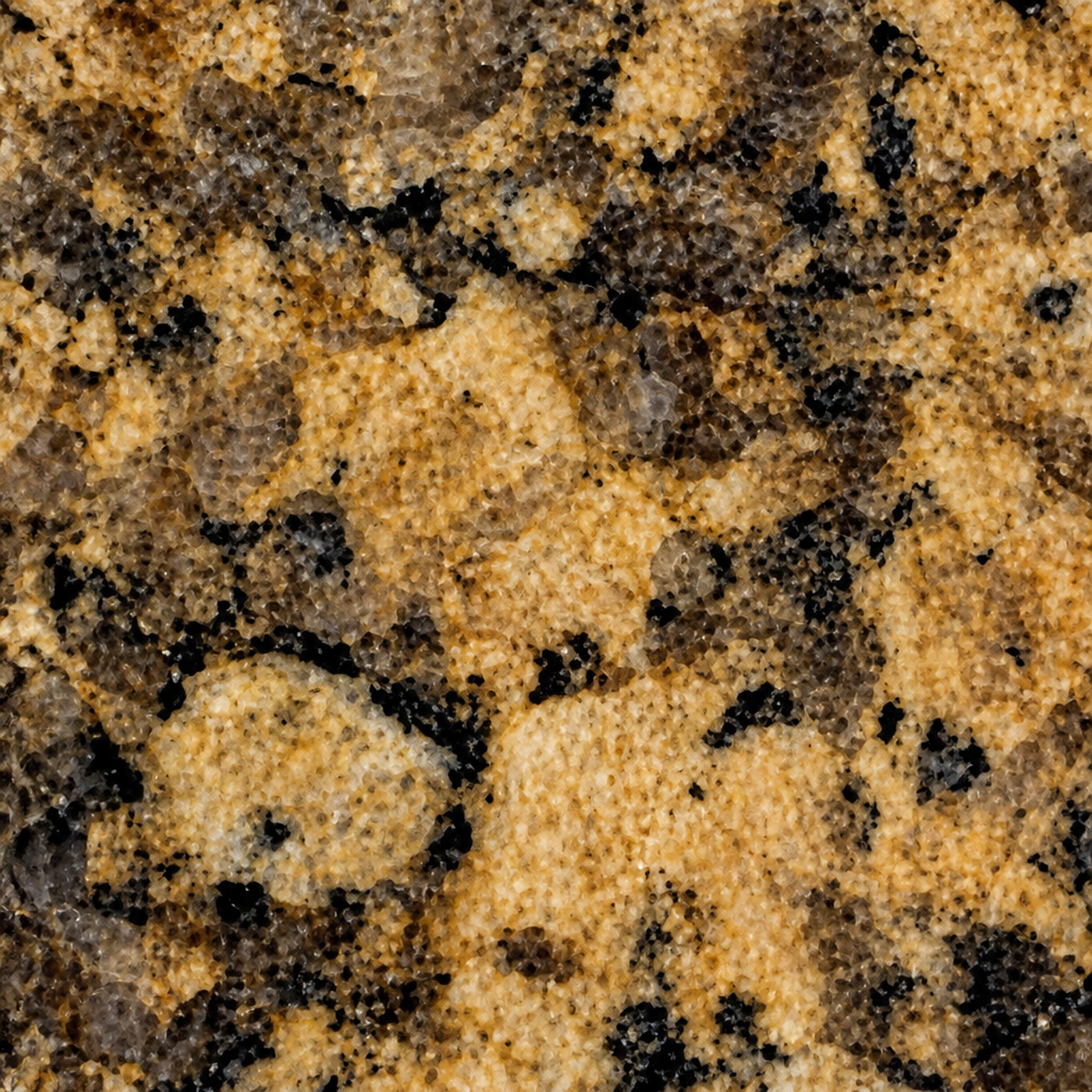 Giallo Fiorito slab
