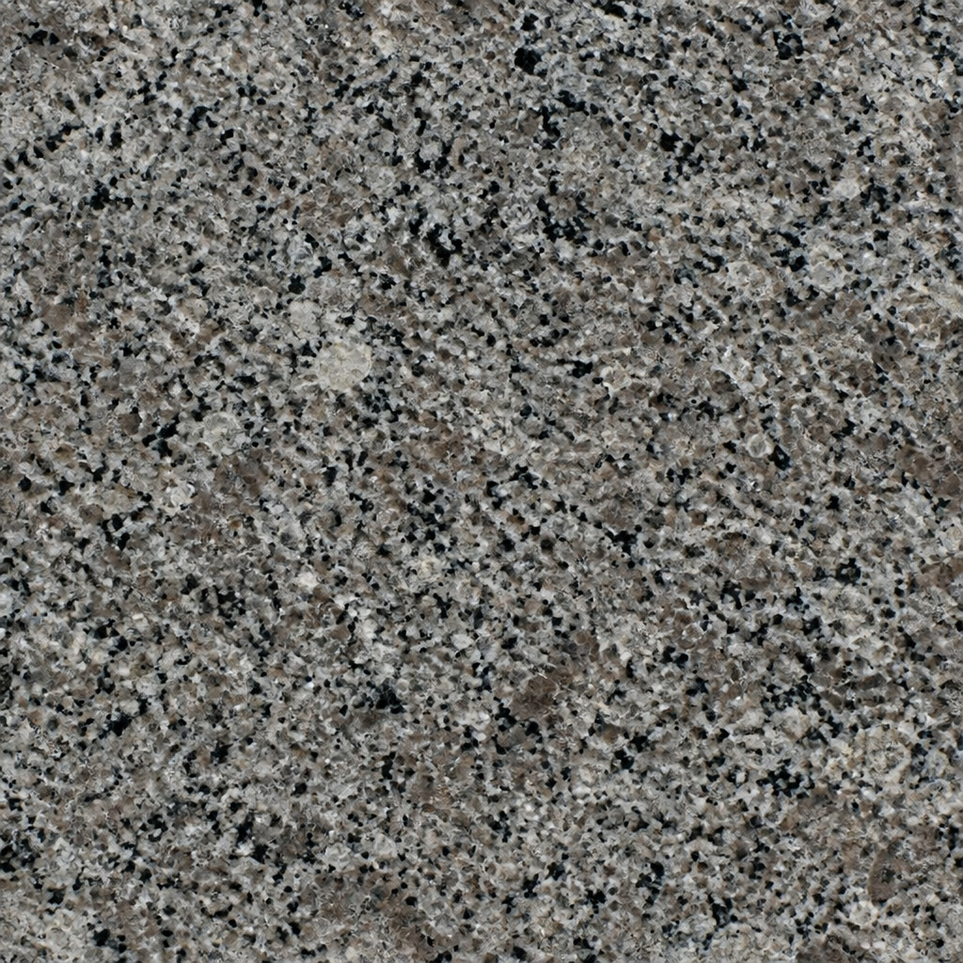 Giresun Vizon slab